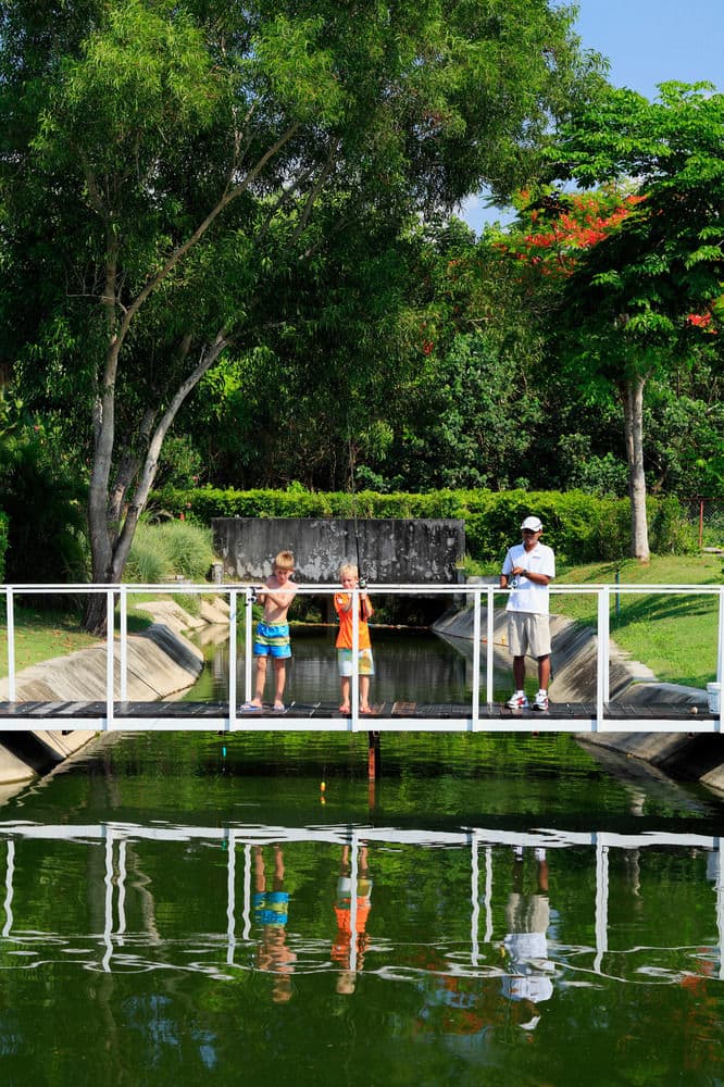 Рыбная ловля