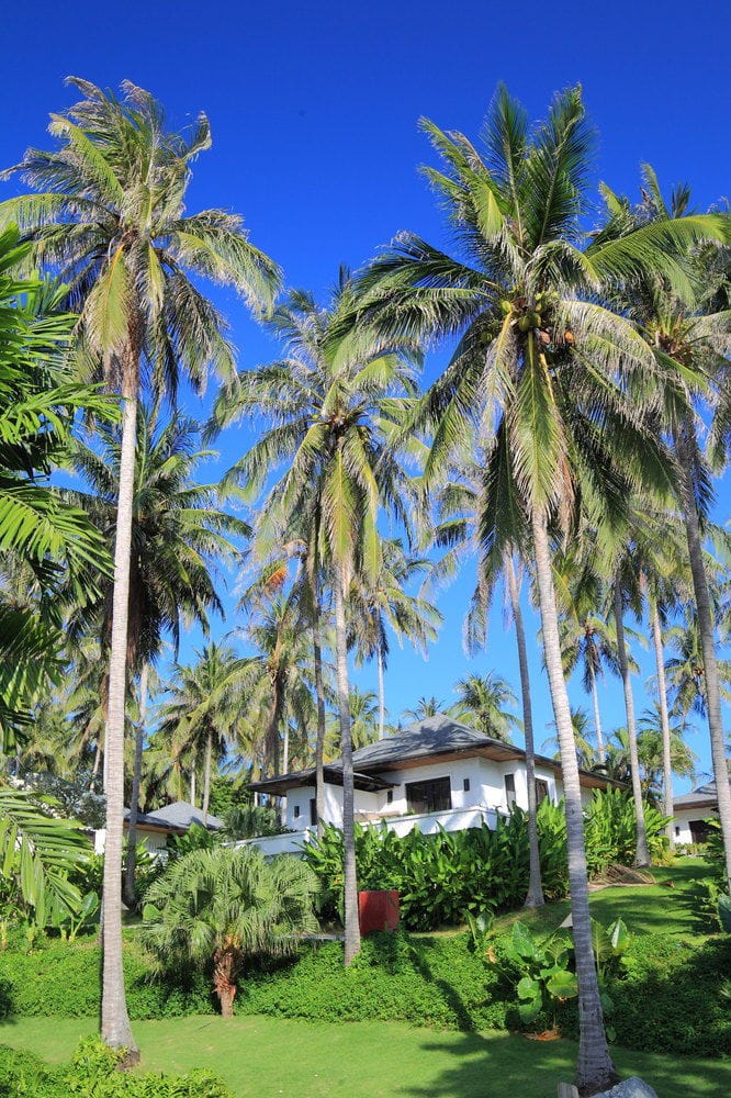 Территория отеля