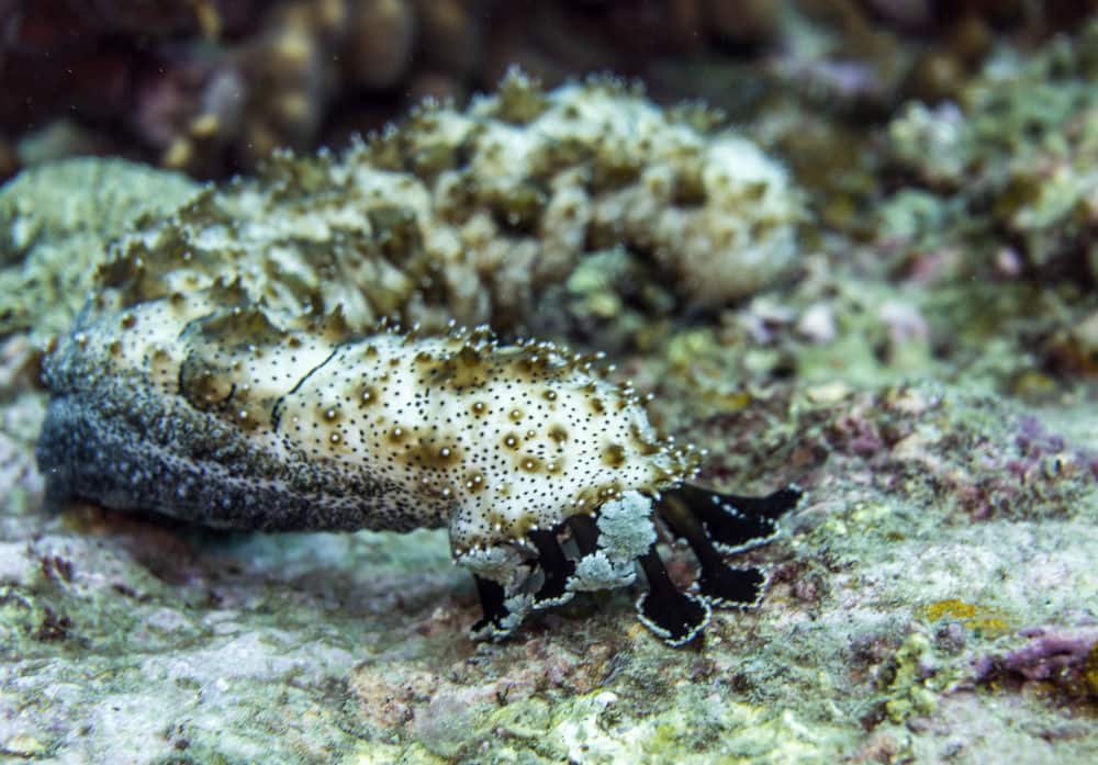 Спортивное оборудование