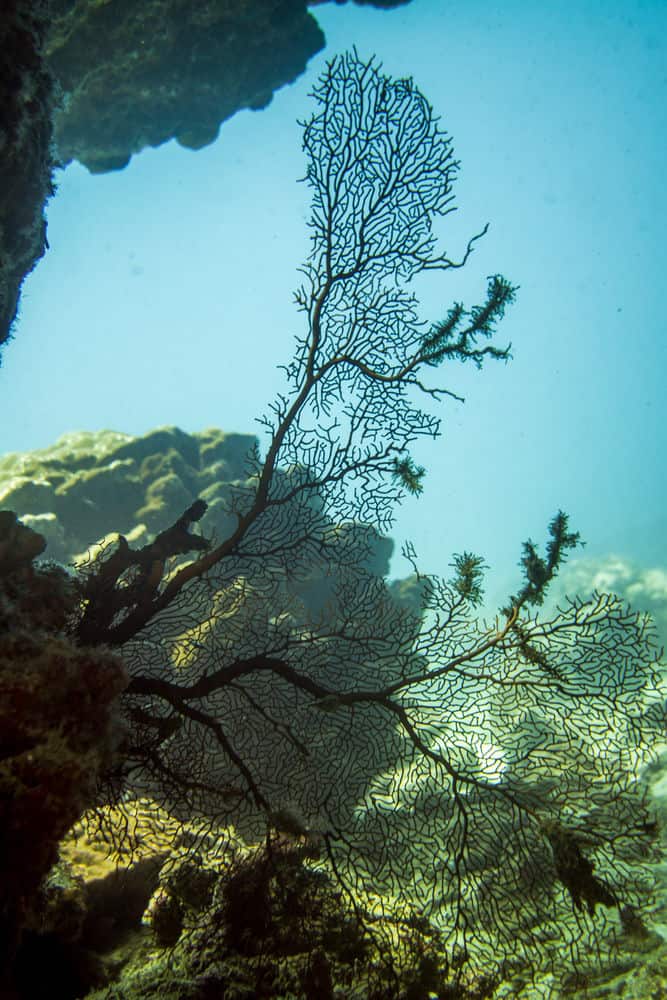 Спортивное оборудование