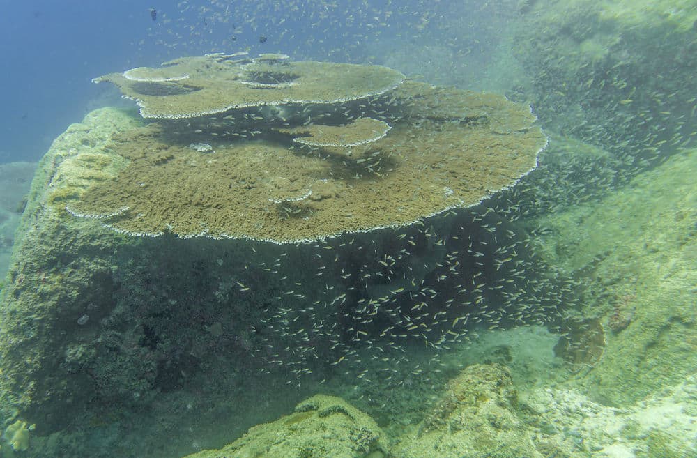 Спортивное оборудование