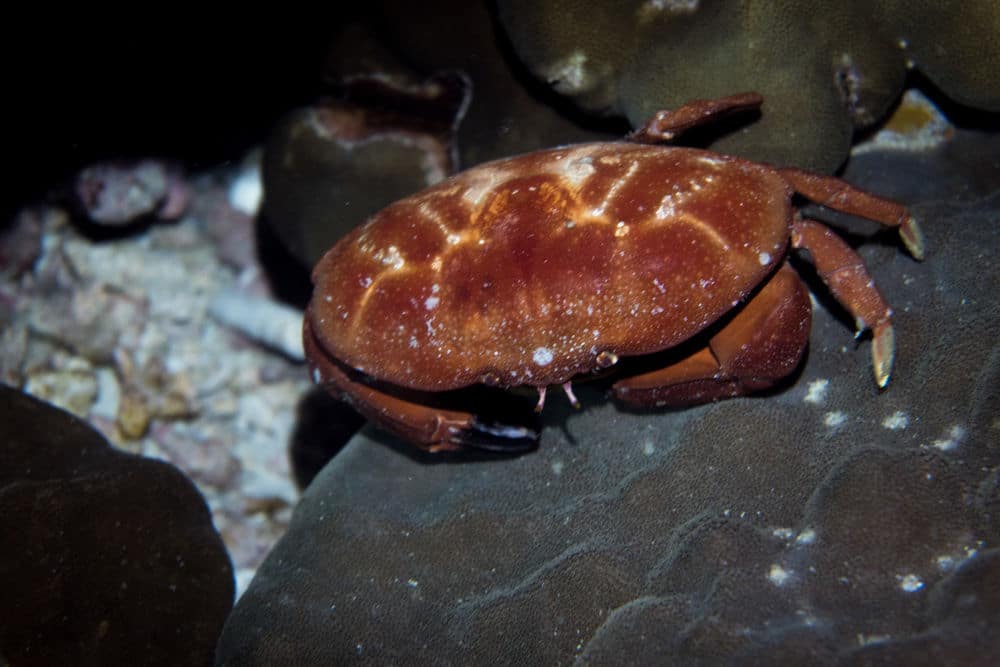 Спортивное оборудование