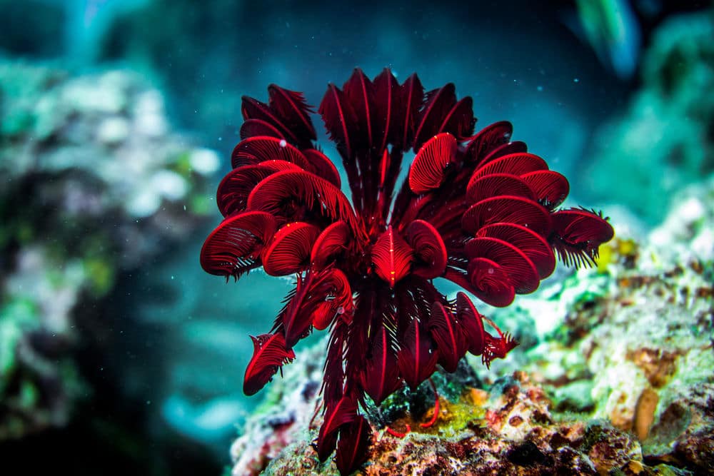 Спортивное оборудование