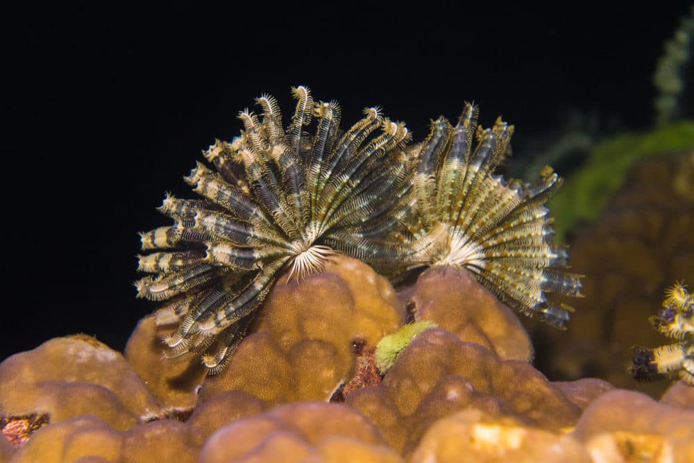 Спортивное оборудование