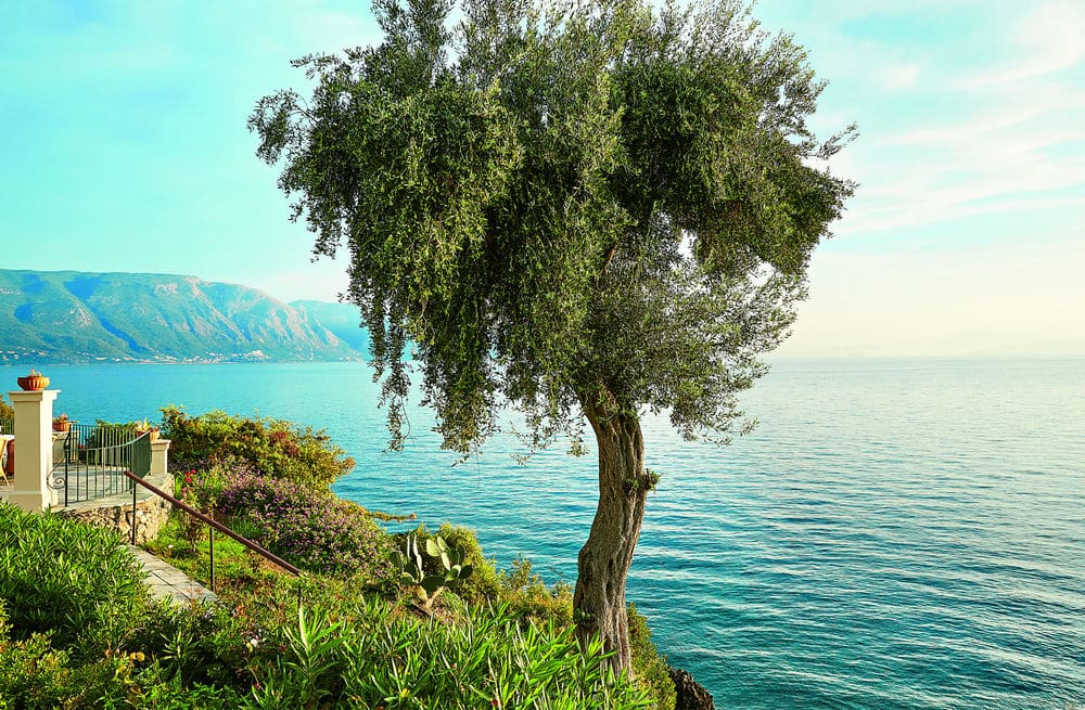 Вид из отеля