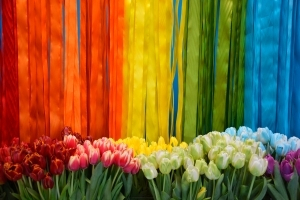 Куда поехать весной 2021 года?